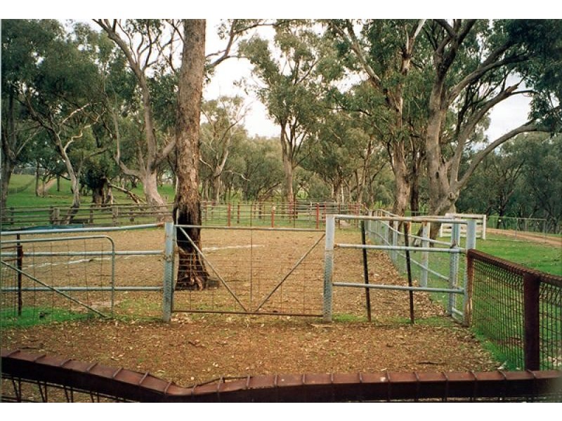 Orange NSW 2800