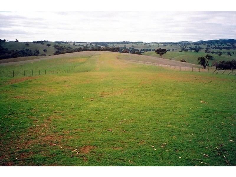 Orange NSW 2800