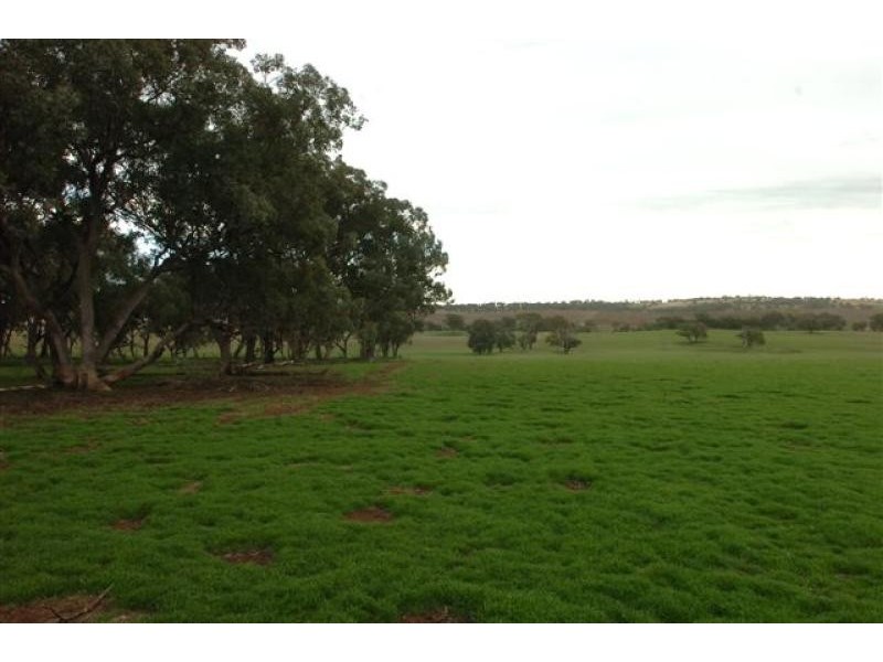 Orange NSW 2800