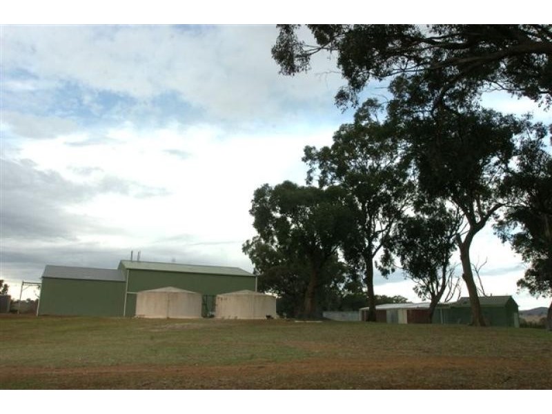 Orange NSW 2800