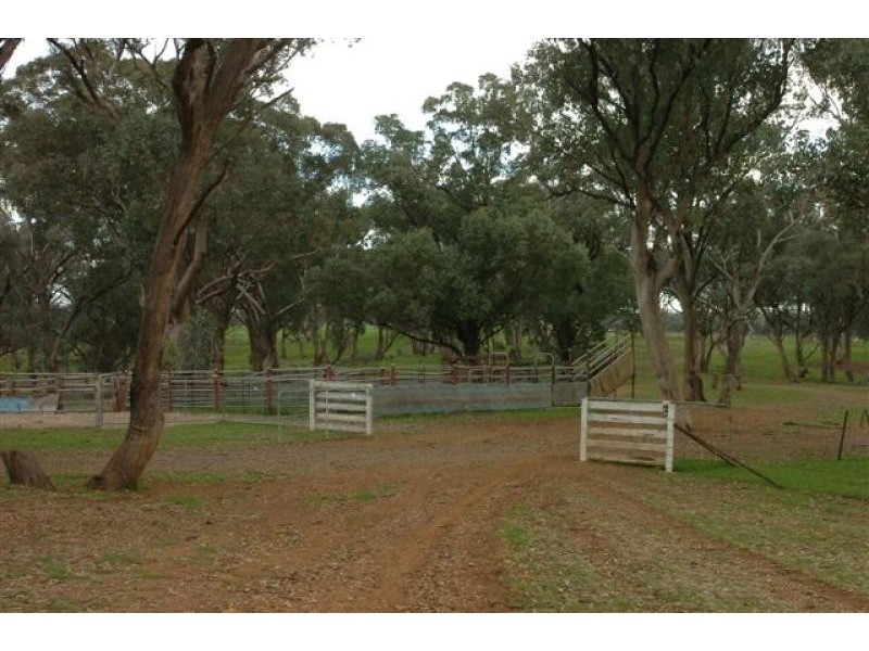 Orange NSW 2800