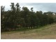 Orange NSW 2800