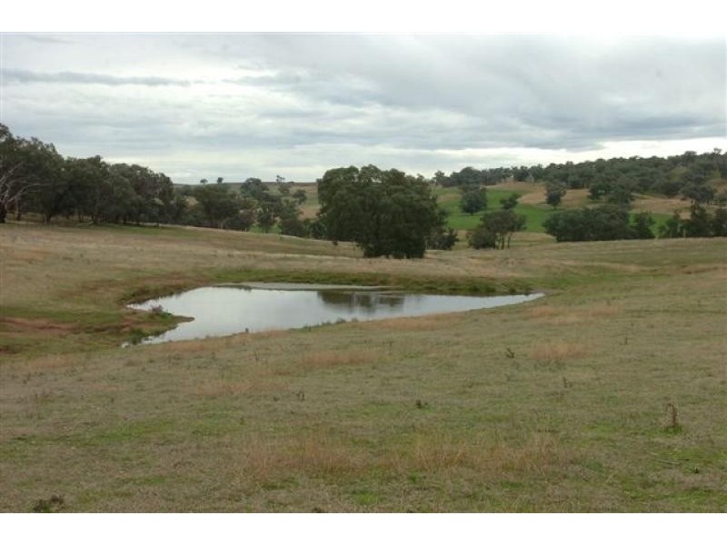 Orange NSW 2800
