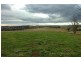 Orange NSW 2800