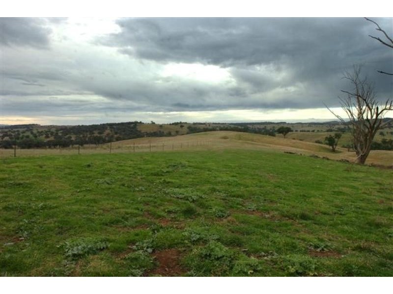 Orange NSW 2800