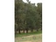 Orange NSW 2800