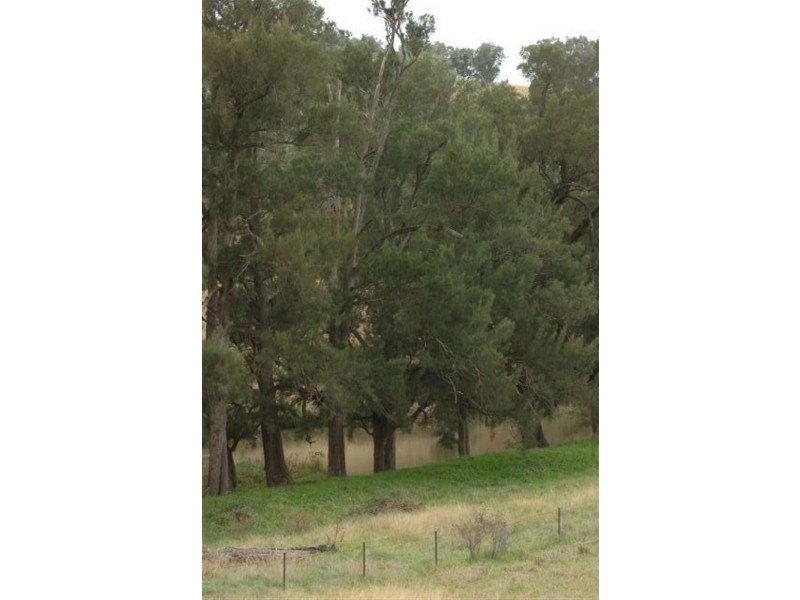 Orange NSW 2800