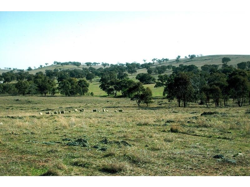 45 Minutes North, Orange NSW 2800