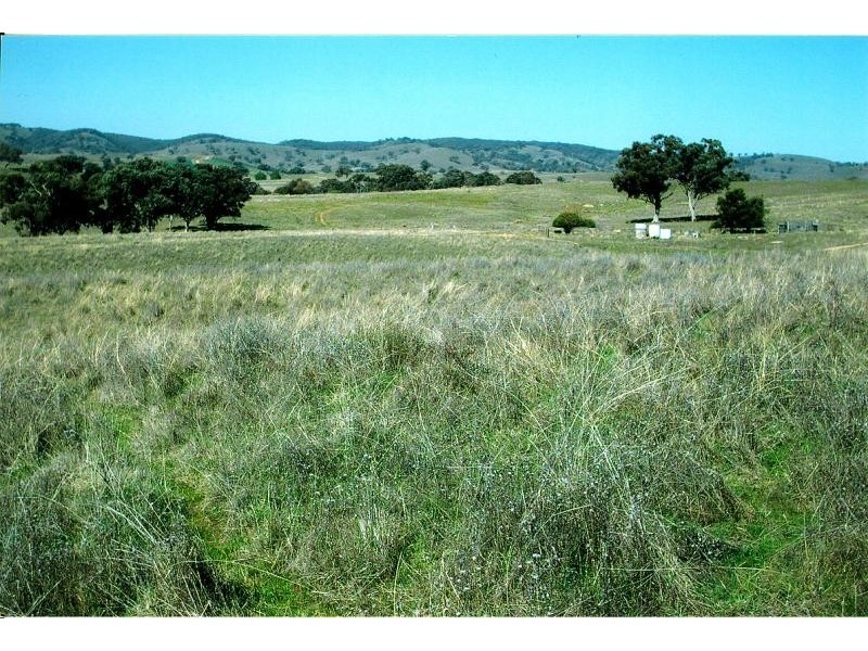 45 Minutes North, Orange NSW 2800