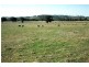 45 Minutes North, Orange NSW 2800