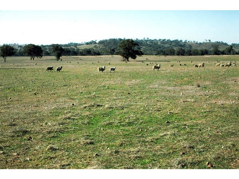 45 Minutes North, Orange NSW 2800