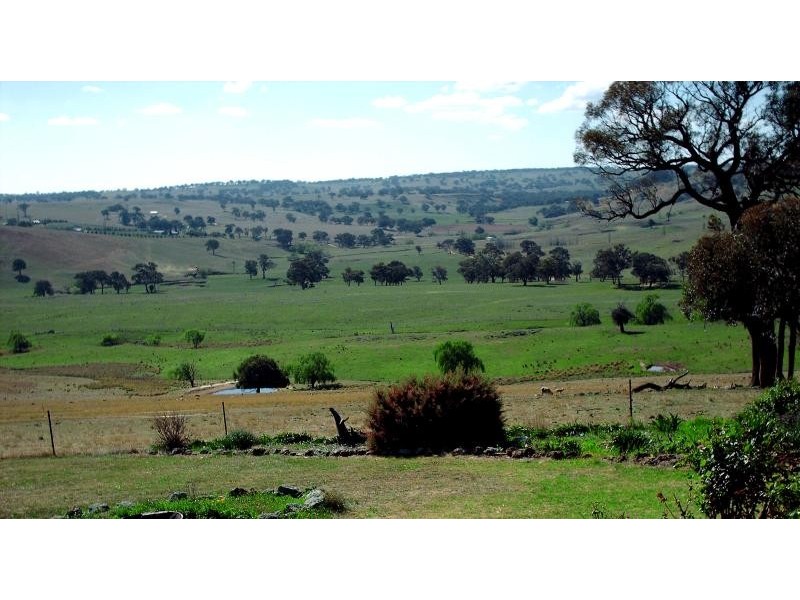 554 Edinboro Lane, Cargo NSW 2800