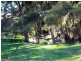 554 Edinboro Lane, Cargo NSW 2800