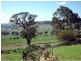 554 Edinboro Lane, Cargo NSW 2800