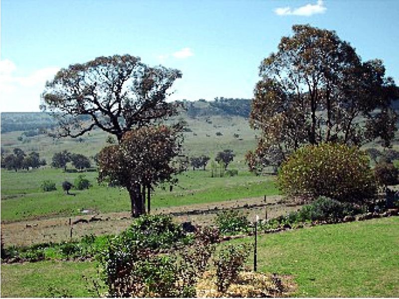 554 Edinboro Lane, Cargo NSW 2800