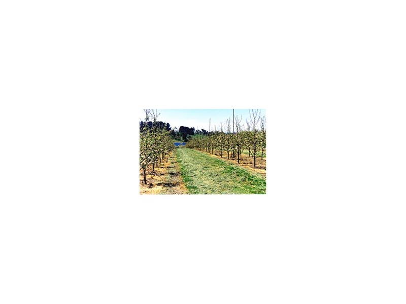 0 Cargo Road, Orange NSW 2800