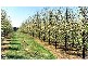 0 Cargo Road, Orange NSW 2800