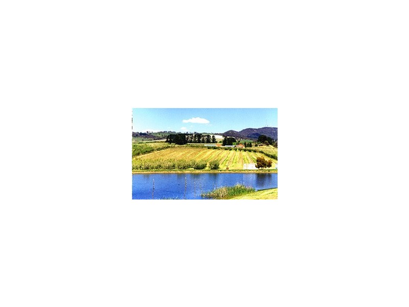 0 Cargo Road, Orange NSW 2800