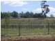 Forest Reefs NSW 2798