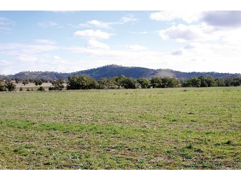 Mudgee NSW 2850