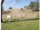 Mudgee NSW 2850