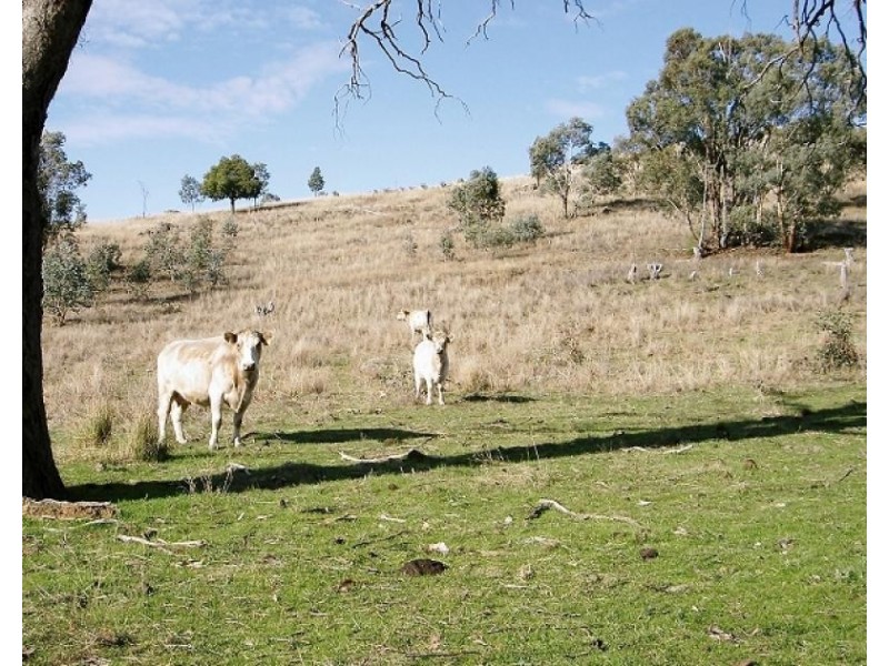 Mudgee NSW 2850