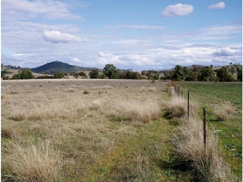 Mudgee NSW 2850