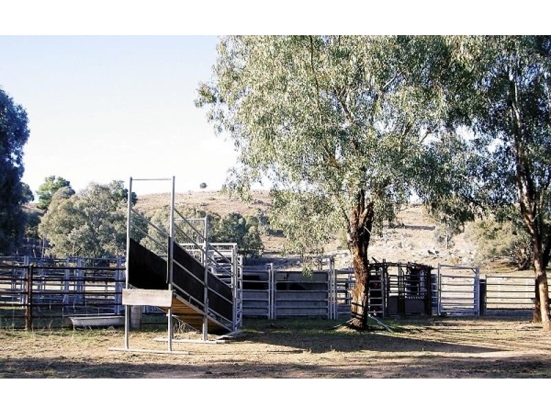 Mudgee NSW 2850