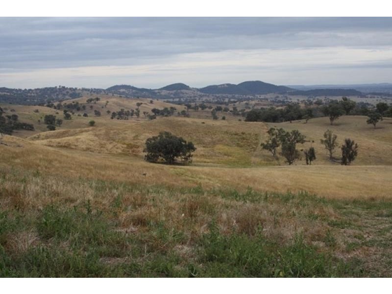 Mudgee NSW 2850