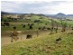 Mudgee NSW 2850