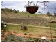 Mudgee NSW 2850