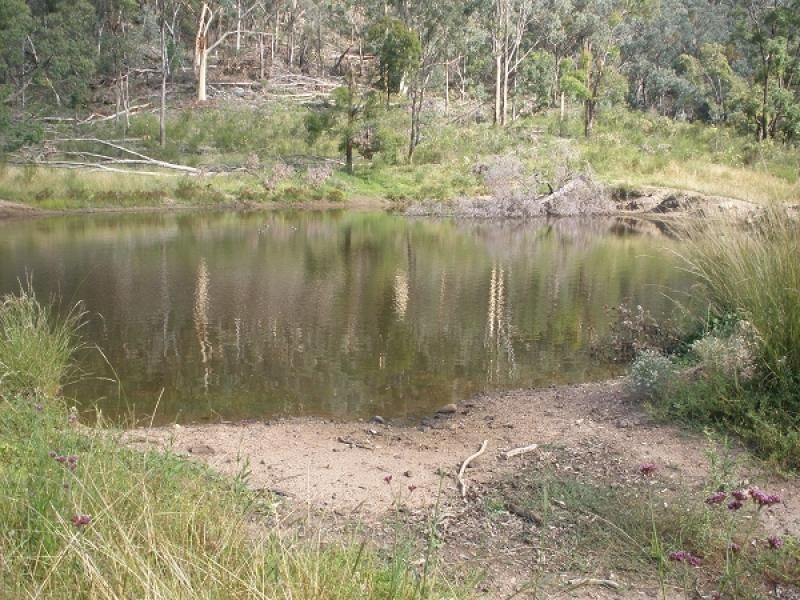 Bylong NSW 2849