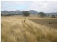 Bylong NSW 2849