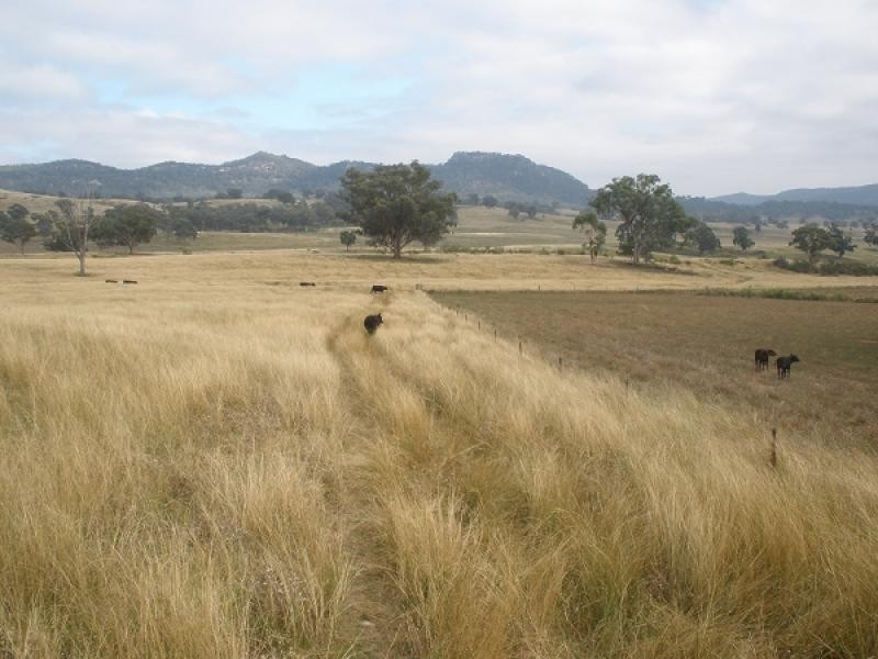 Bylong NSW 2849