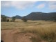 Bylong NSW 2849