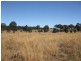 Mudgee NSW 2850