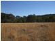 Mudgee NSW 2850