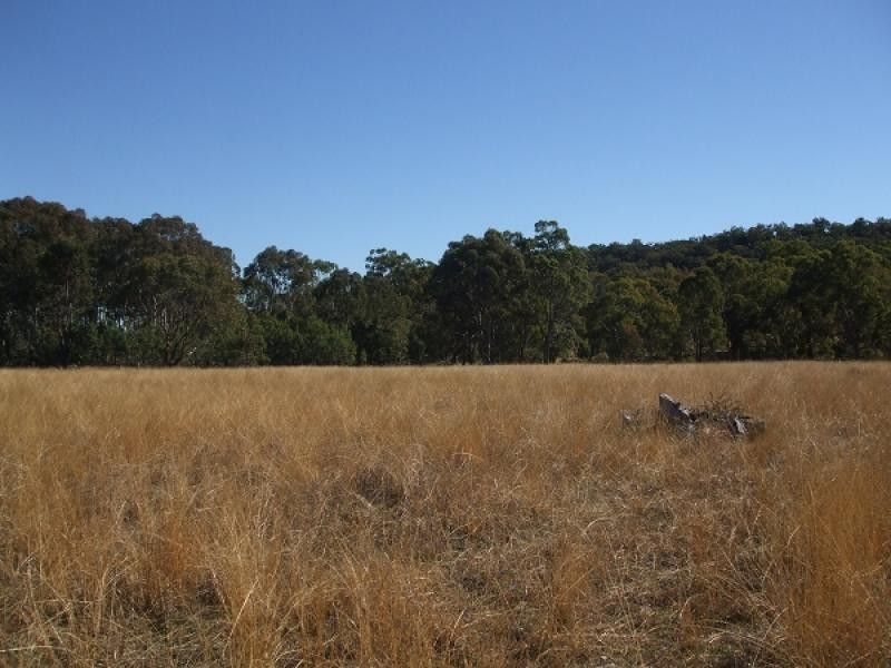 Mudgee NSW 2850