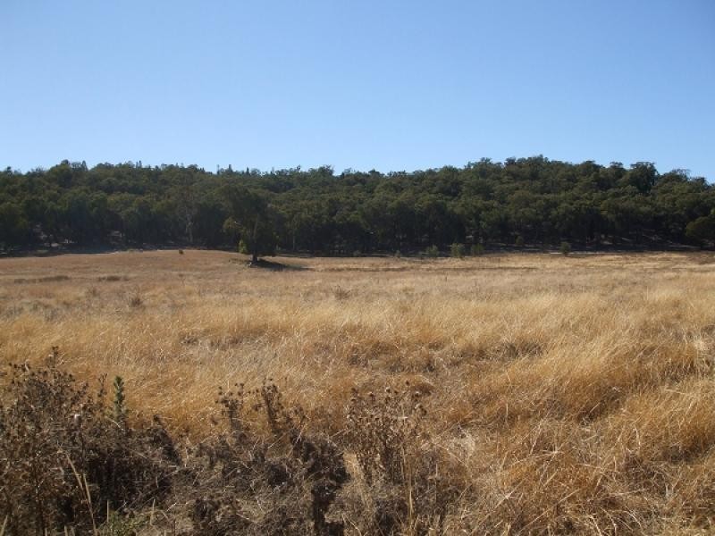 Mudgee NSW 2850