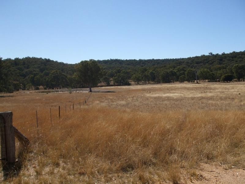 Mudgee NSW 2850