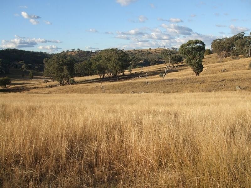 Goolma NSW 2852
