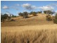 Goolma NSW 2852