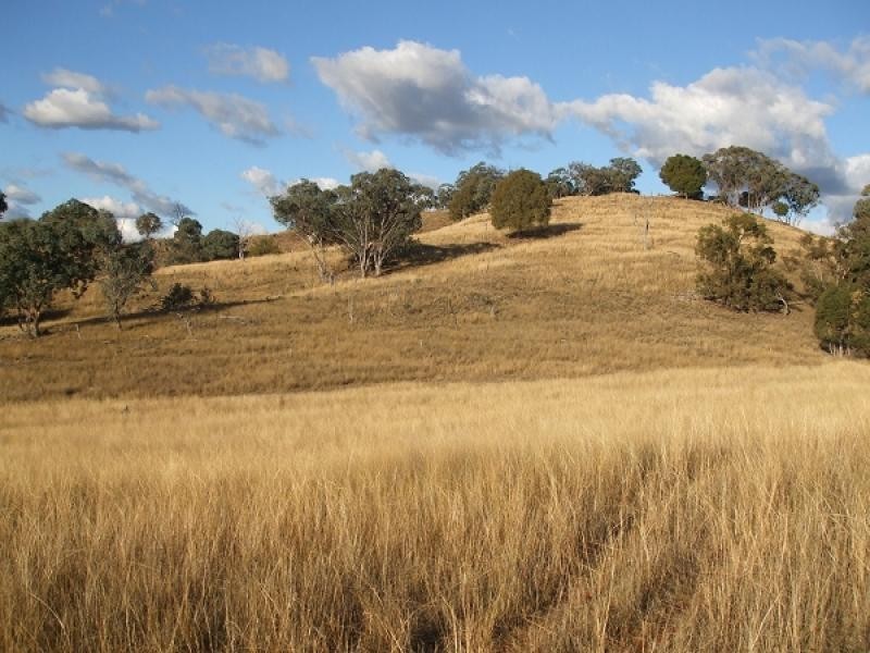 Goolma NSW 2852