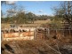 Goolma NSW 2852