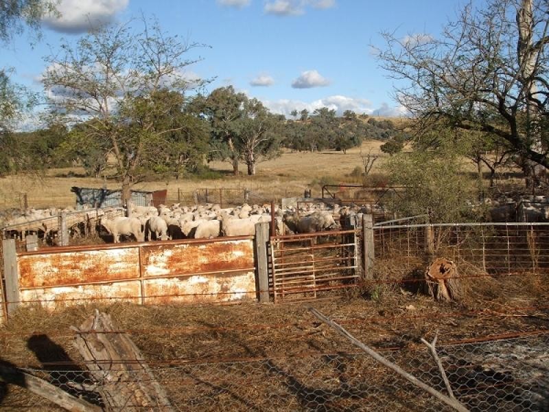 Goolma NSW 2852