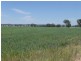 Mudgee NSW 2850
