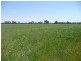 Mudgee NSW 2850
