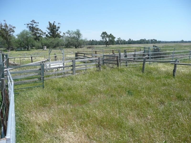 Mudgee NSW 2850