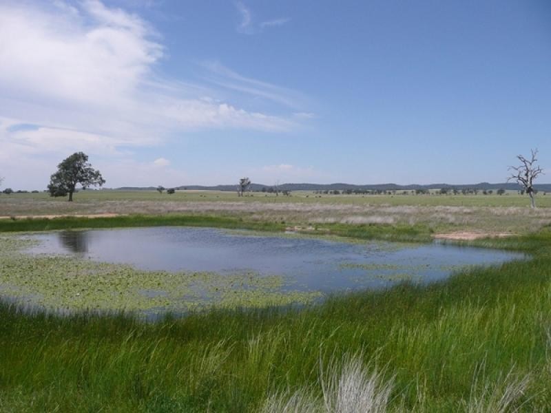 Mudgee NSW 2850