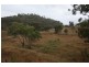 Lot 2 Queens Pinch Road Meroo, Mudgee NSW 2850